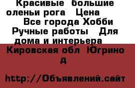 Красивые  большие оленьи рога › Цена ­ 3 000 - Все города Хобби. Ручные работы » Для дома и интерьера   . Кировская обл.,Югрино д.